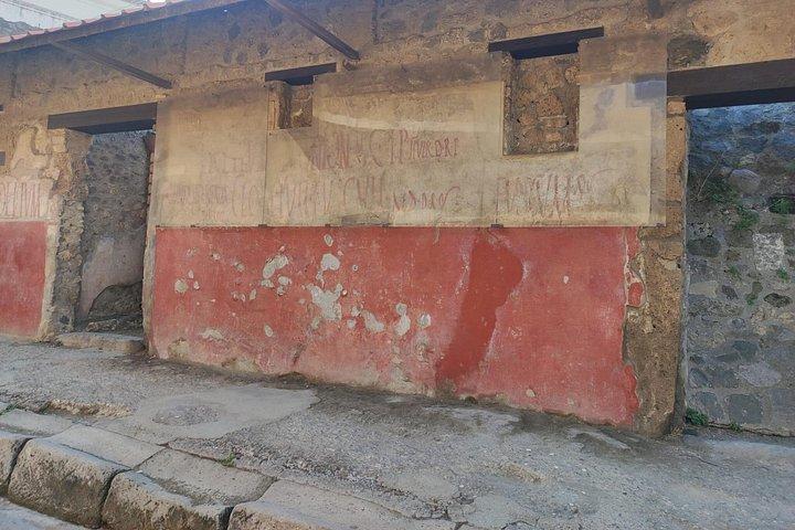 Pompeii the Ancient City (Tour+Transfer)