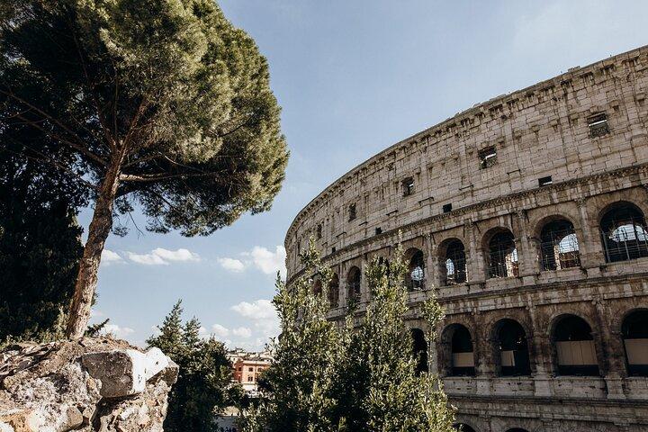 Privat Gladiatorport med tillgång till Colosseum och arenavåning