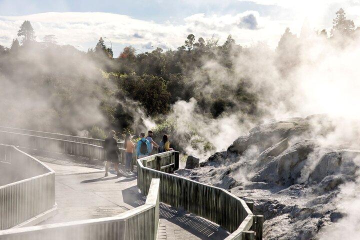 Rotorua Full Day Adventure dans Glowworm Cave et Redwoods
