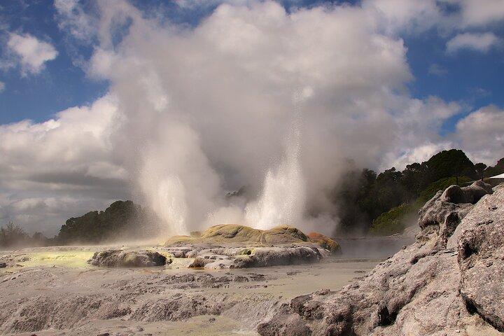 Rotorua Full Day Adventure dans Glowworm Cave et Redwoods