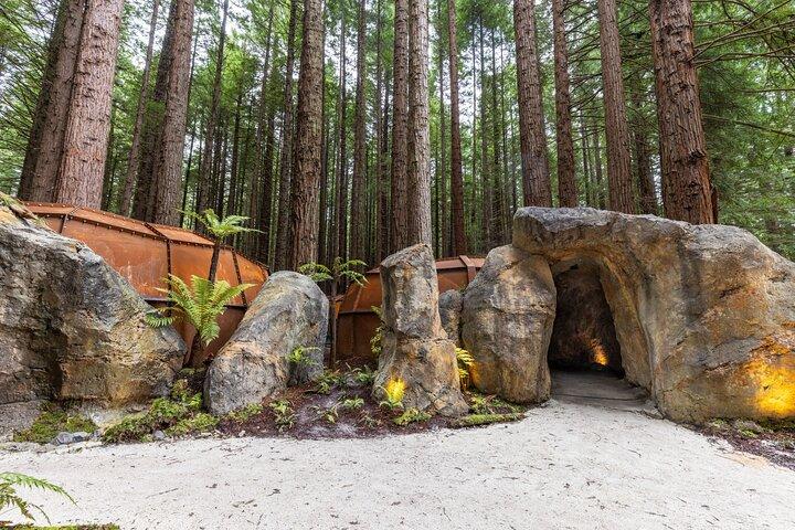 Rotorua Full Day Adventure dans Glowworm Cave et Redwoods