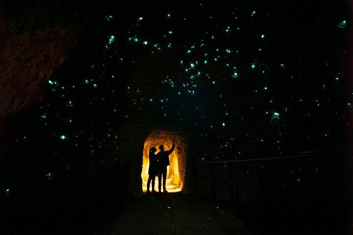 Rotorua Full Day Adventure dans Glowworm Cave et Redwoods