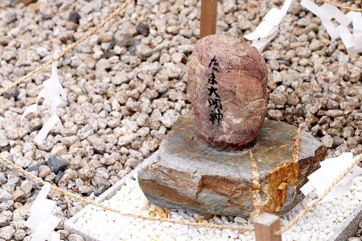 和歌山 貴志川線 ネコ駅長アドベンチャー