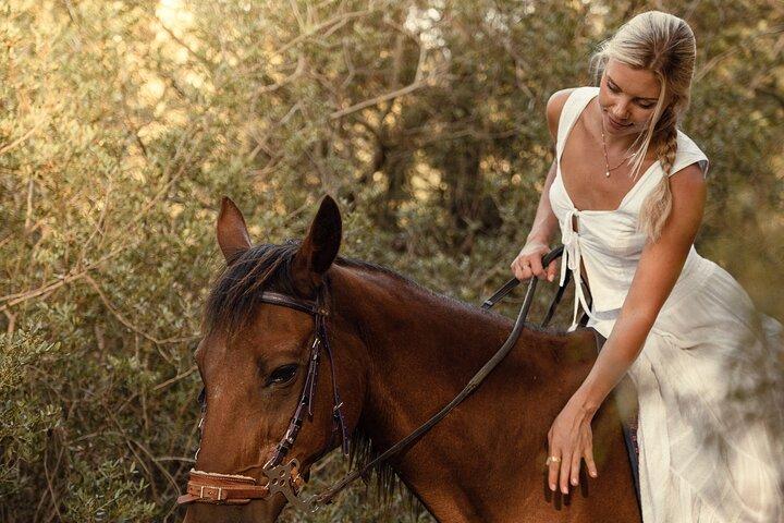 Florence: Degustación y almuerzo privado de vinos a caballo en Chianti