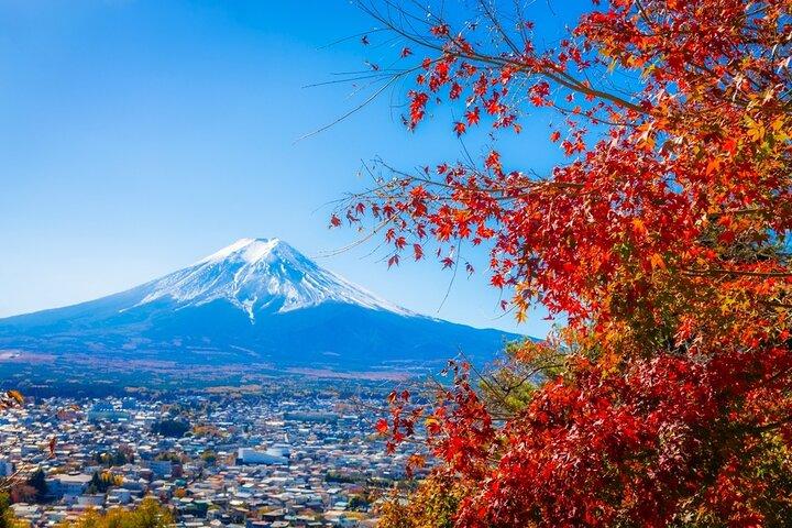 富士山/箱根/横浜東京カスタマイズプライベートツアー