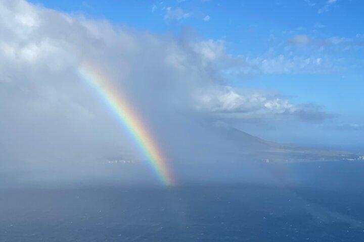 Maui-PRIVATE-Air Tour : SKY-ROAD to HANA : 溶岩＋ジャングルの滝！