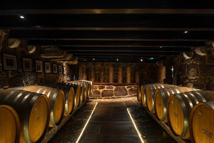 Cata de vinos en Quinta da Torre Anselmo Mendes
