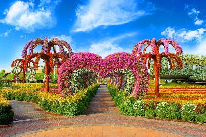 Dubai Miracle Garden och Global Village Combo Tour med överföringar