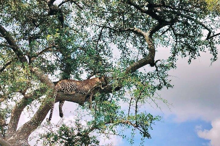 Ngorongoro Crater Privé dagtrip