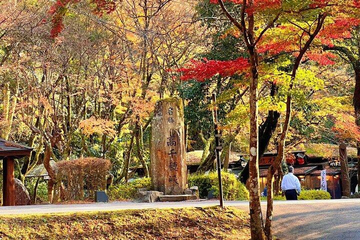 Takachiho Gorge Tour from Fukuoka with Shirakawa Springs, Shrine