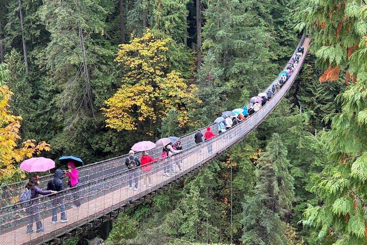 Visita à Ponte Suspensa do Capilano e à Montanha Grouse