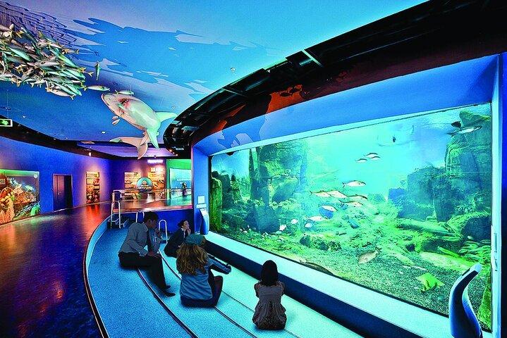 Istanbul Aquarium Experience with Comfortable Hotel Transfers