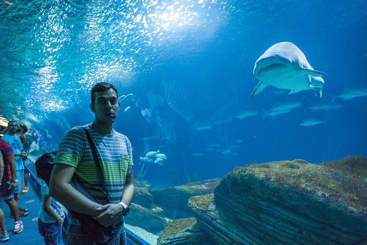 Istanbul Aquarium Admission with Transfers