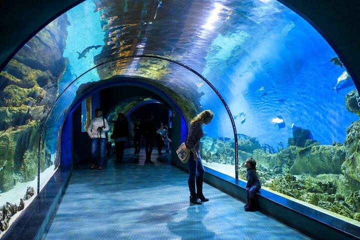 Istanbul Aquarium Admission with Transfers