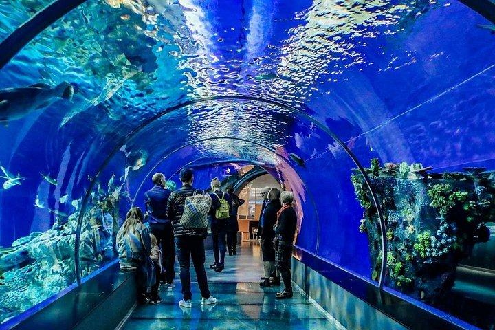 Istanbul Aquarium Experience with Comfortable Hotel Transfers