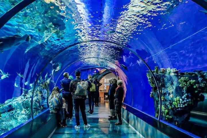 イスタンブール水族館アドベンチャー（ホテル送迎付き）
