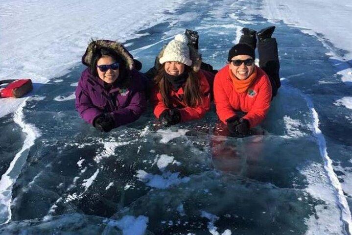 コロンビアアイスフィールドアドベンチャー、スカイウォーク、ペイトー湖、氷河ツアー