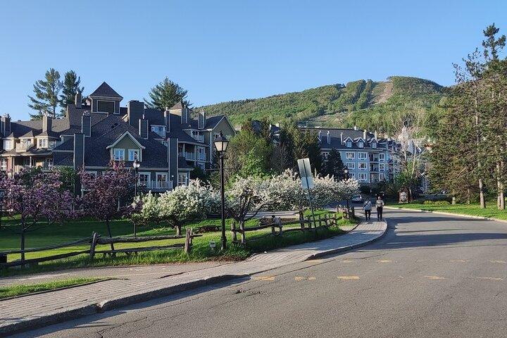 Privat transfer til Montreal YUL lufthavn fra Mont-Tremblant