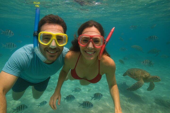 Sea Turtle snorkeltur