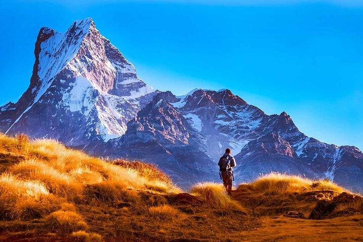 Mardi Himal Trek (4500 meters)