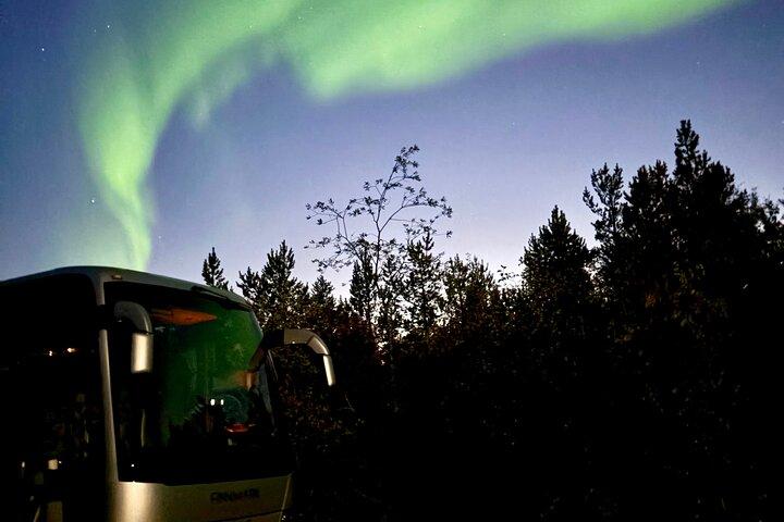 Alta : Le bus des aurores boréales – un voyage confortable dans l’Arctique