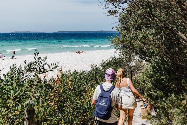 Vanuit Sydney : Dagtour naar Jervis Bay met stranden en Koala's