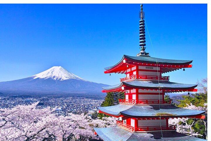 東京から富士山パノラマ日帰り旅行