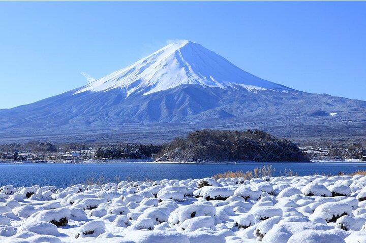 東京から富士山パノラマ日帰り旅行