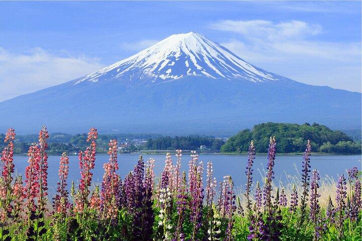 東京から富士山パノラマ日帰り旅行