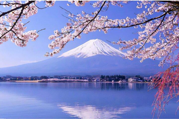 東京から富士山パノラマ日帰り旅行
