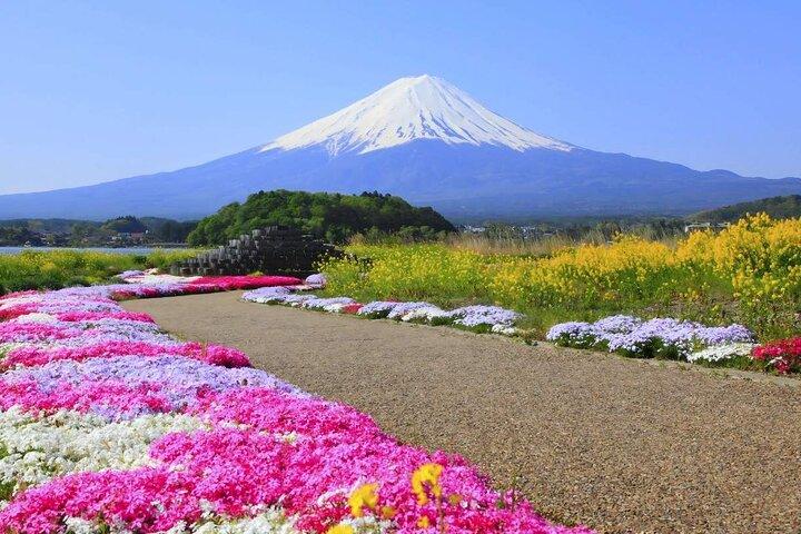 Panorama-Tagesausflug auf den Fuji von Tokio