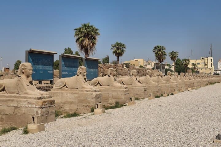 Tour of Karnak & Luxor Temples With Sphinx Avenue walking