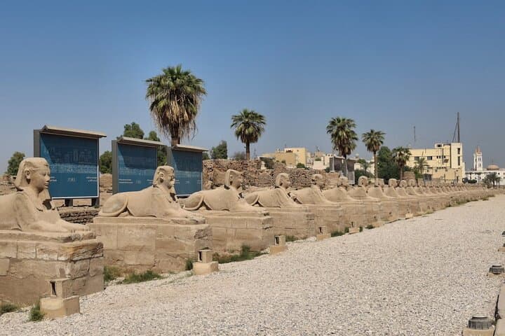 Tour of Karnak & Luxor Temples With Sphinx Avenue walking