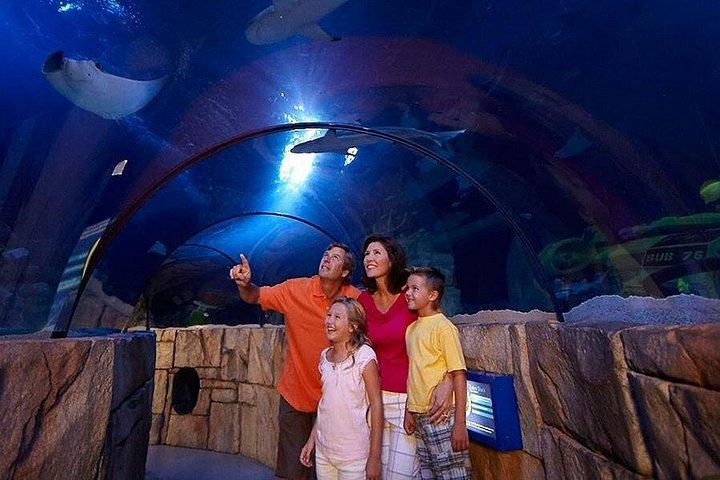 Istanbul Aquarium Admission with Transfers