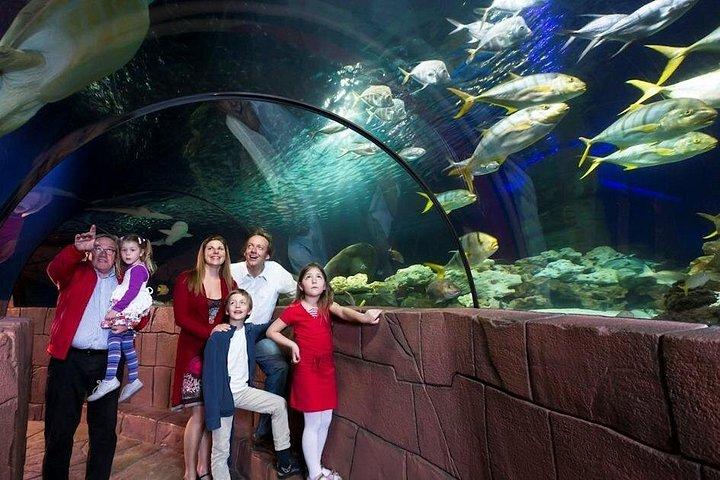 Istanbul Aquarium Admission with Transfers