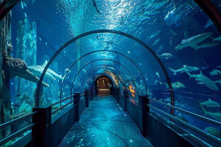Istanbul Aquarium Admission with Transfers
