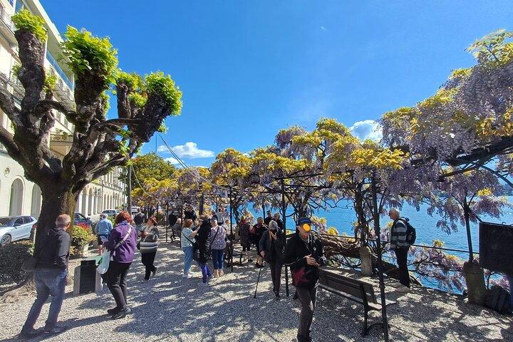 Comer See und Schweiz Tagestour von Mailand mit Bootsfahrt