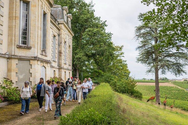 Halvdags vin tur gennem Bordeaux vinmarker