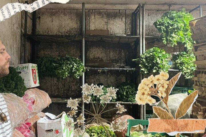 Cartagena: Cultural tour Bazurto Market Adventure