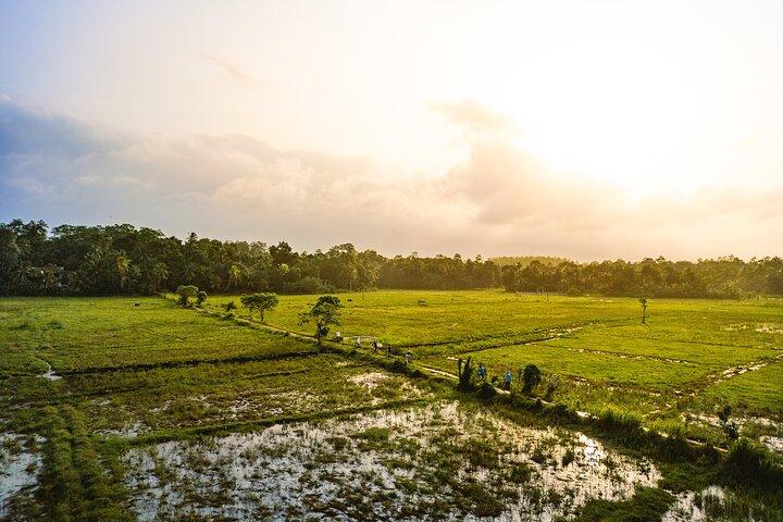 De Paddy Trail