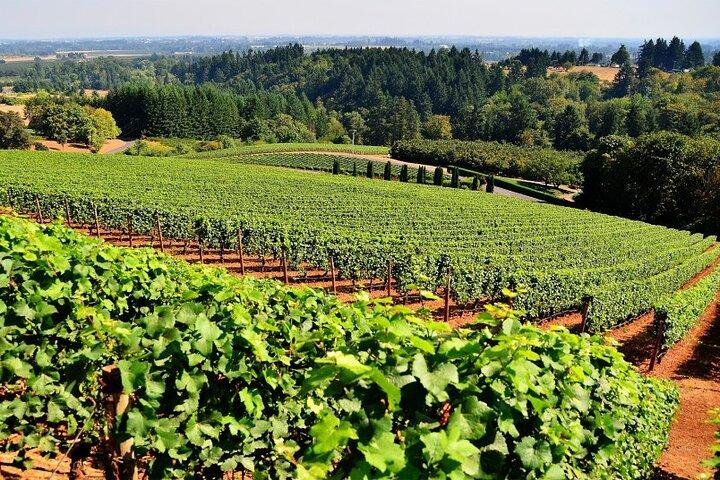 Wine Tour Athens to visit 2 of the most Award-Winning Wineries
