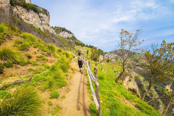 Pequeno grupo Path of the Gods Hike Tour saindo de Sorrento