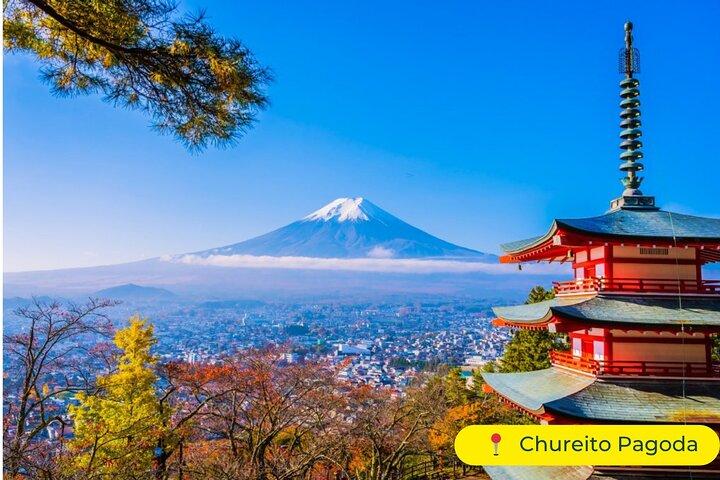 英語ドライバー付き東京発富士山プライベート日帰り旅行