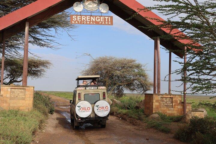 4 - Días Tour en grupo a Tarangire Serengeti Ngorongoro
