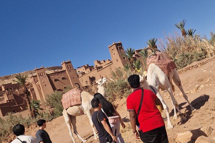 2 Days desert tour to Zagora from Marrakech