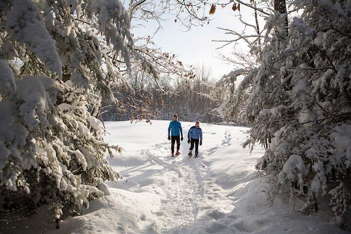 Lake Tahoe: Sunset Snowshoe Trek med varme drikkevarer og snacks