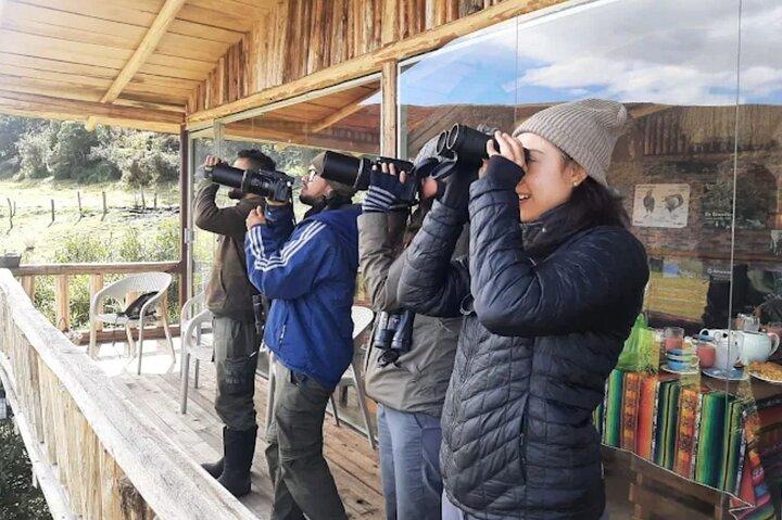 FullDay - Antisana Privé Natuur & Wild Dagtrip