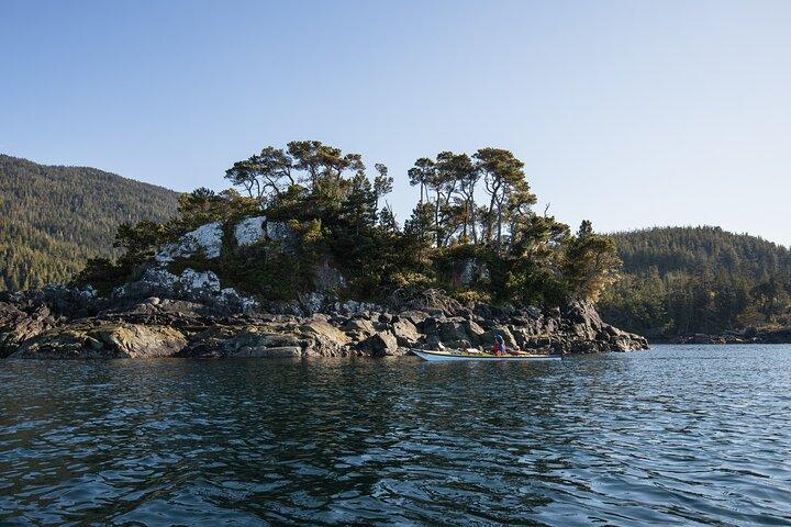 Vancouver Island : 2 uur durende kajaktocht met gids vanuit Telegraph Cove