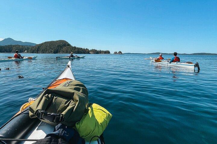 Vancouver Island : 2 uur durende kajaktocht met gids vanuit Telegraph Cove