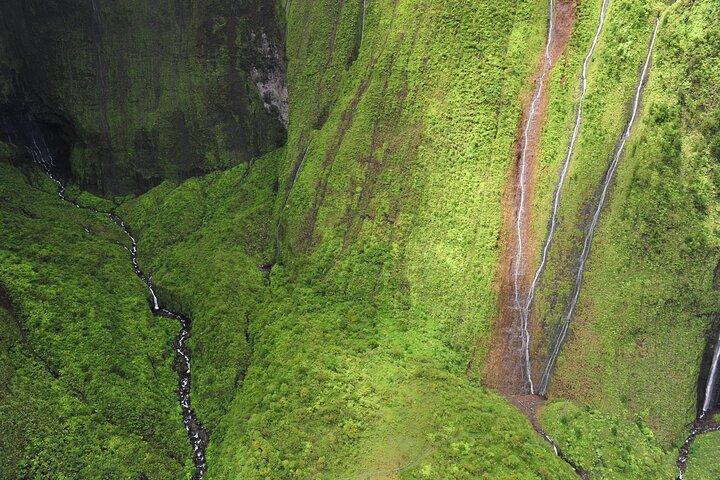 カウアイ島：ハート・オブ・ザ・アイランド・ドアーズ-オフヘリコプターツアー